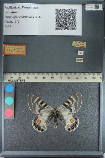 Media type: image;   Entomology 180485